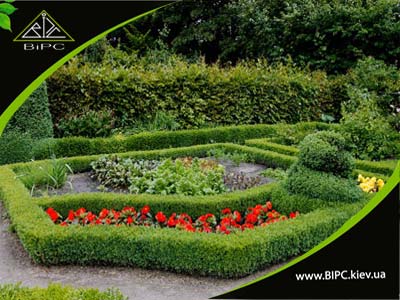 landscape-design_virs1