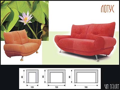 divan_pasat_lotus