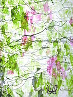 vitrage_vitrum1