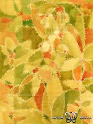 vitrage_vitrum1